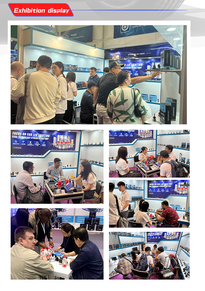 Exhibition View