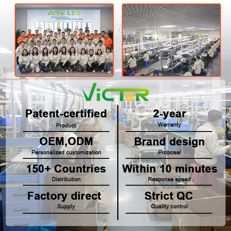 Auto Lighting Factory Wholesale 12V 6000K H1 H4 H7 9005 9006 H11 9012 20000 Lumen 130W Universal Fitment Car Led Headlight Bulb