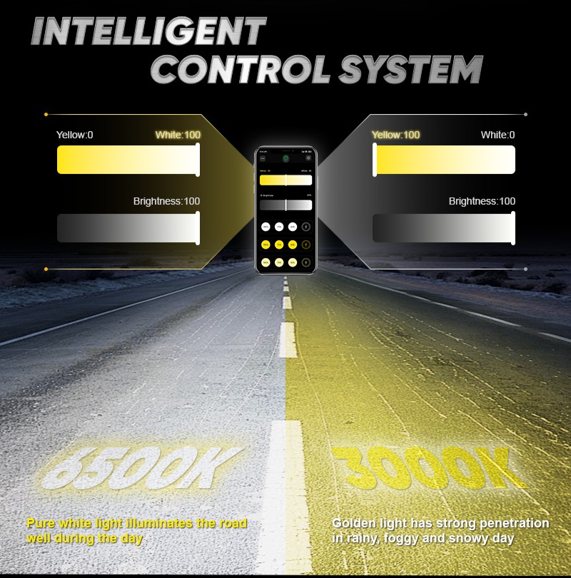 Intelligent Control System Details