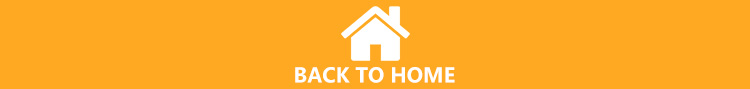 Footer Banner Graphic