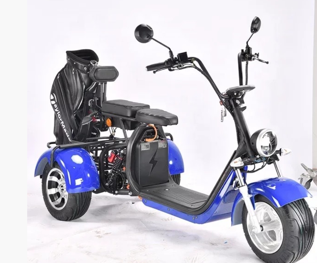 OEM Three Wheel High Performance Durable Electric Golf Cart Frame ATV 2000W Motor Li-Ion Battery 64V 100kg Load Capacity Iron