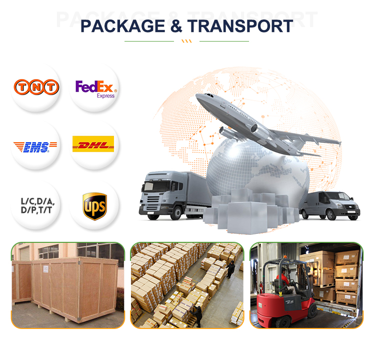 Packing Details and Logistics Options