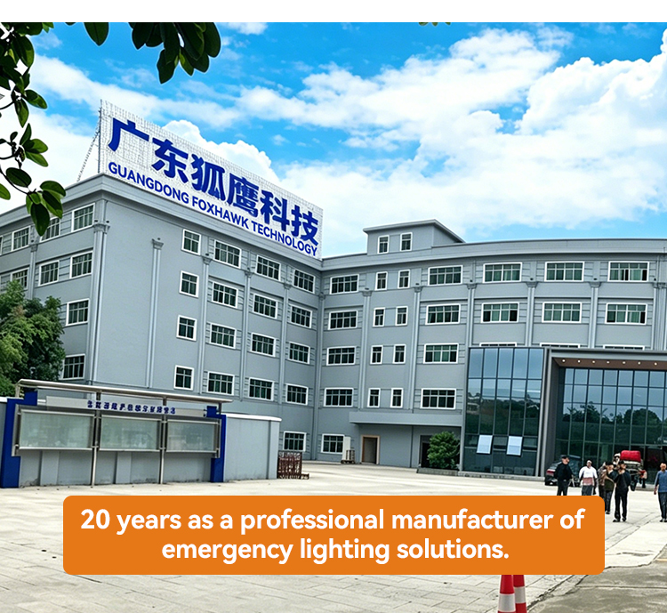 Lighting Product 6
