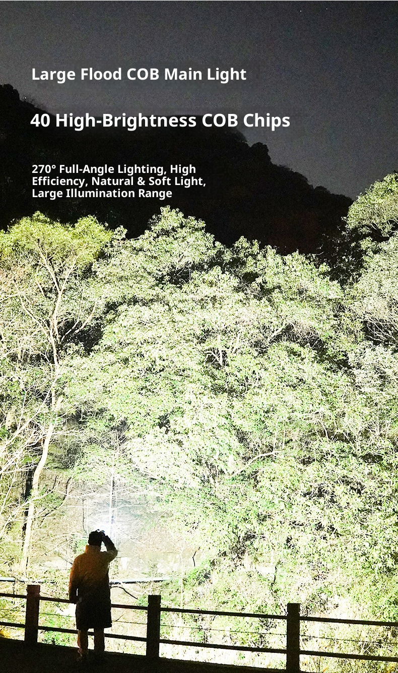 Scene Image 5
