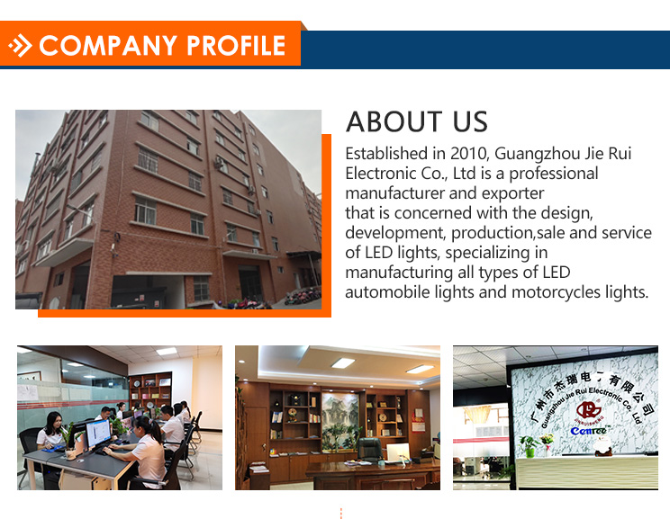 Company Profile Details 1