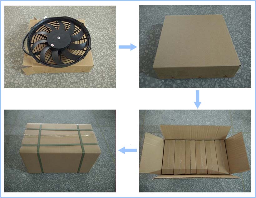 Shipped Package