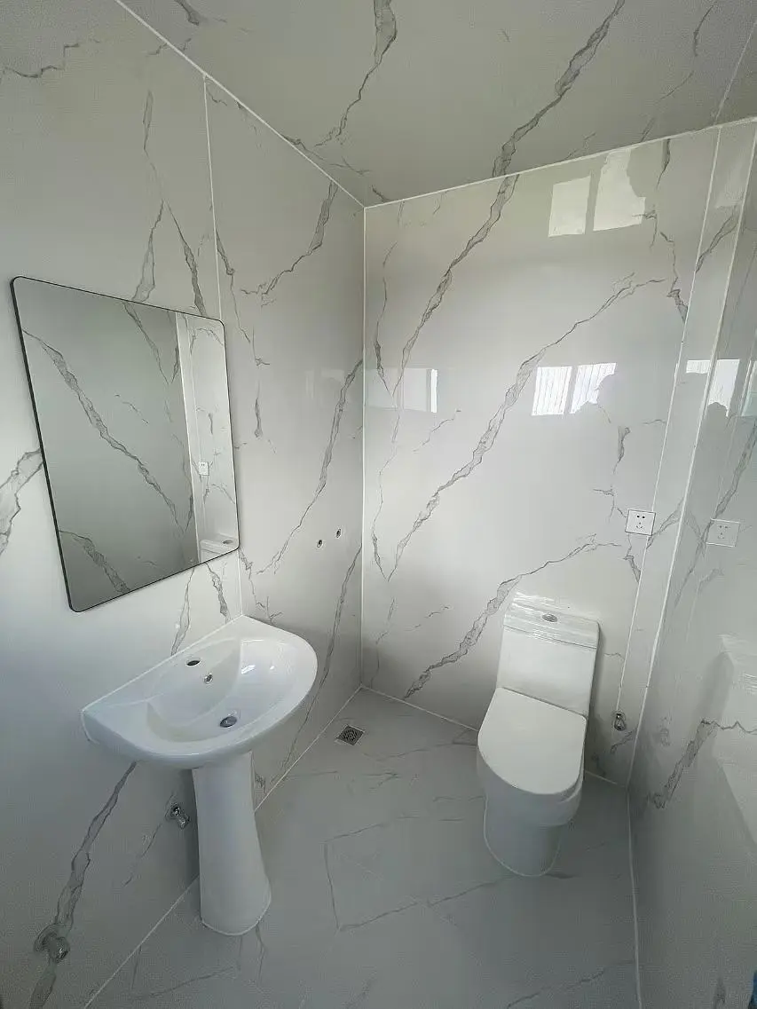Tiny House Shower and Toilet