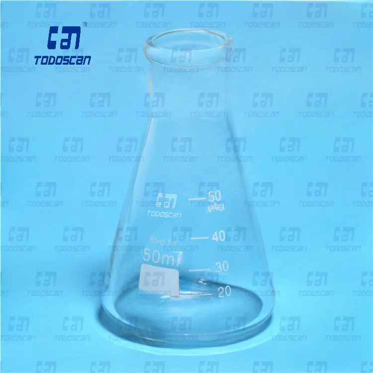 Erlenmeyer Flask Display 1
