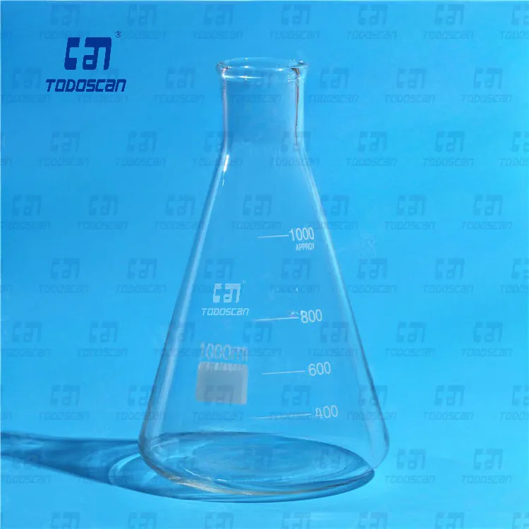 Erlenmeyer Flask Display 4