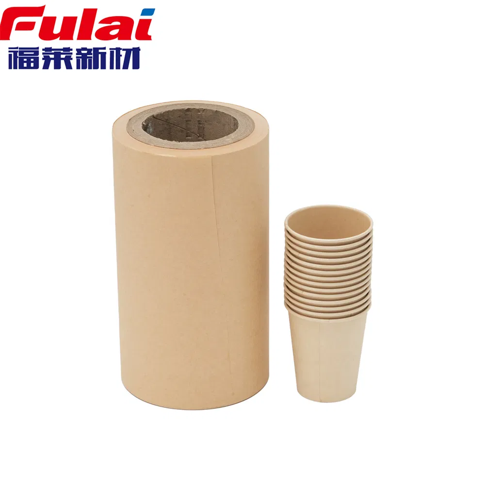 Premium Leakproof Food Containers with Strong PE Coating