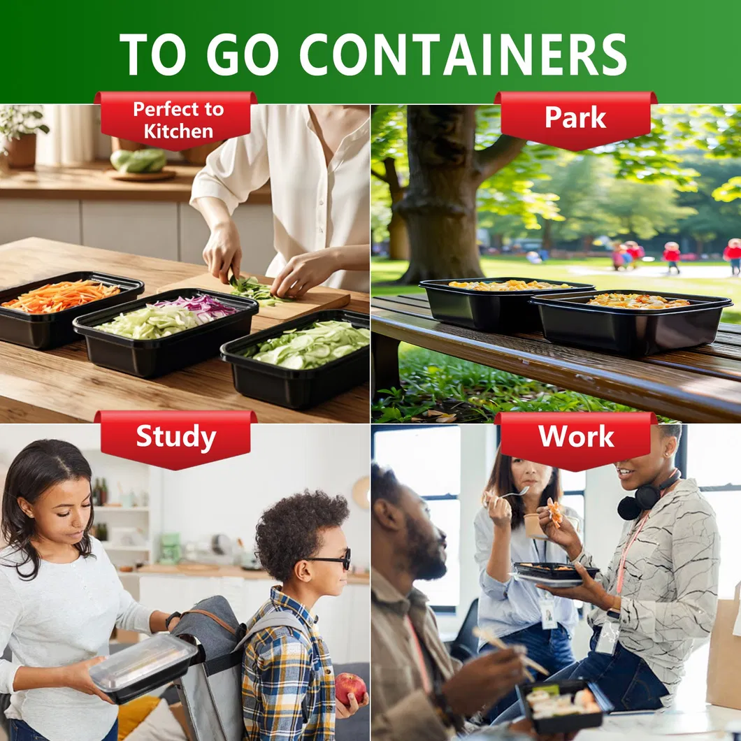 Disposable Plastic PP Food Container