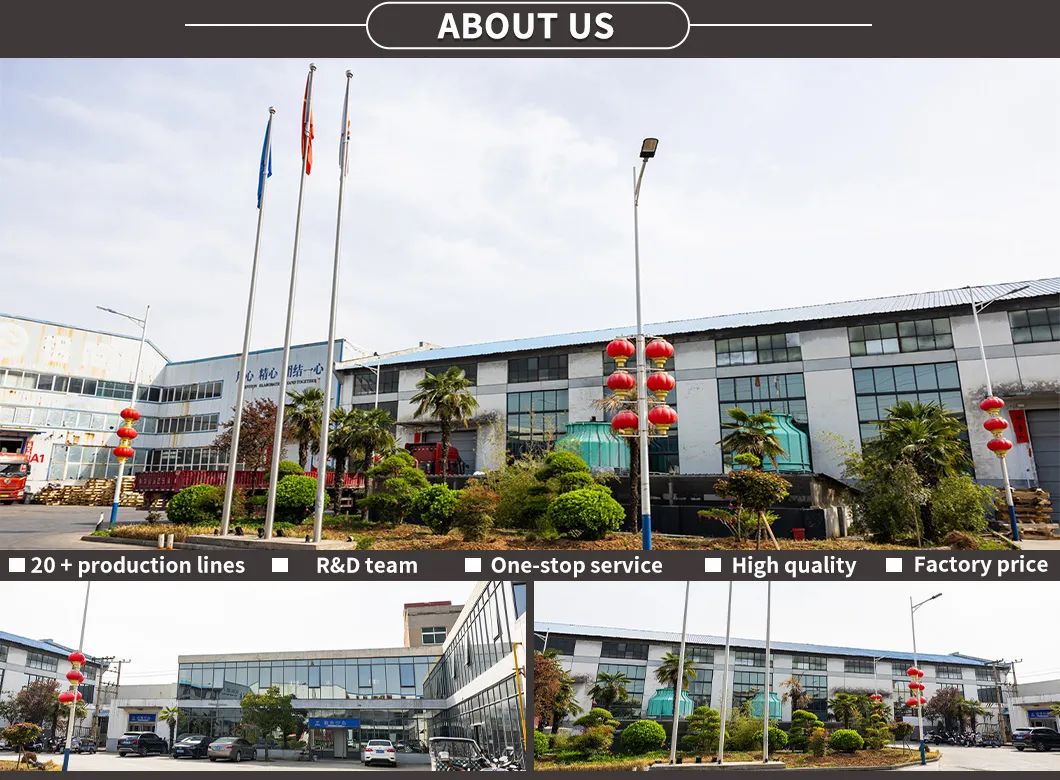 Company office and team