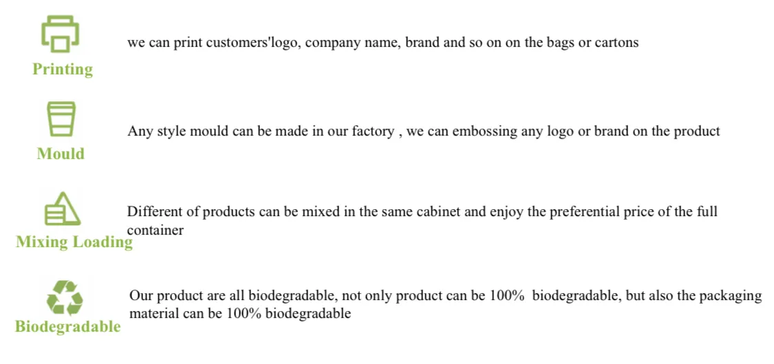 Sugarcane Bagasse Food Container Banner