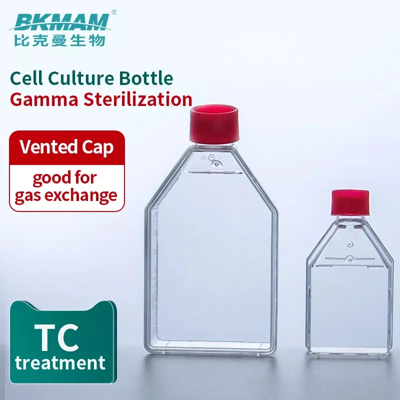 Cell Culture Bottle 1