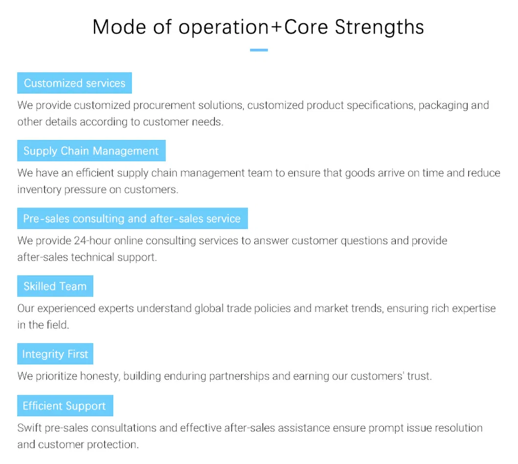 Our Advantages Infographic