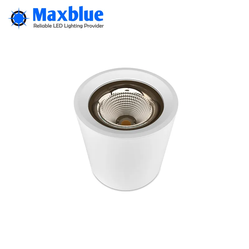 LED COB Downlight 3
