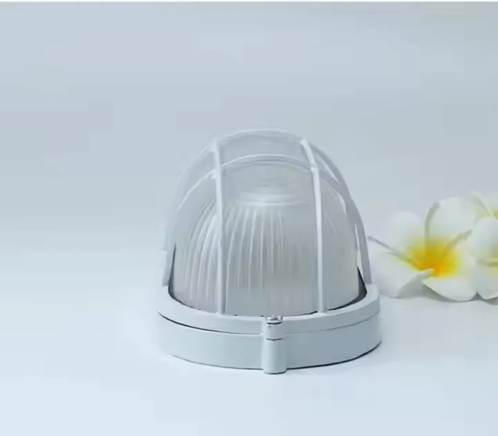 Outdoor Oval LED Light View 3