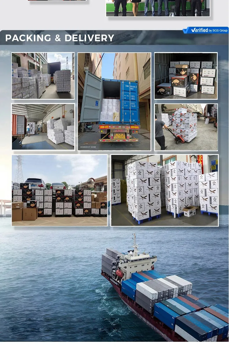 Ceiling Fan Display 12