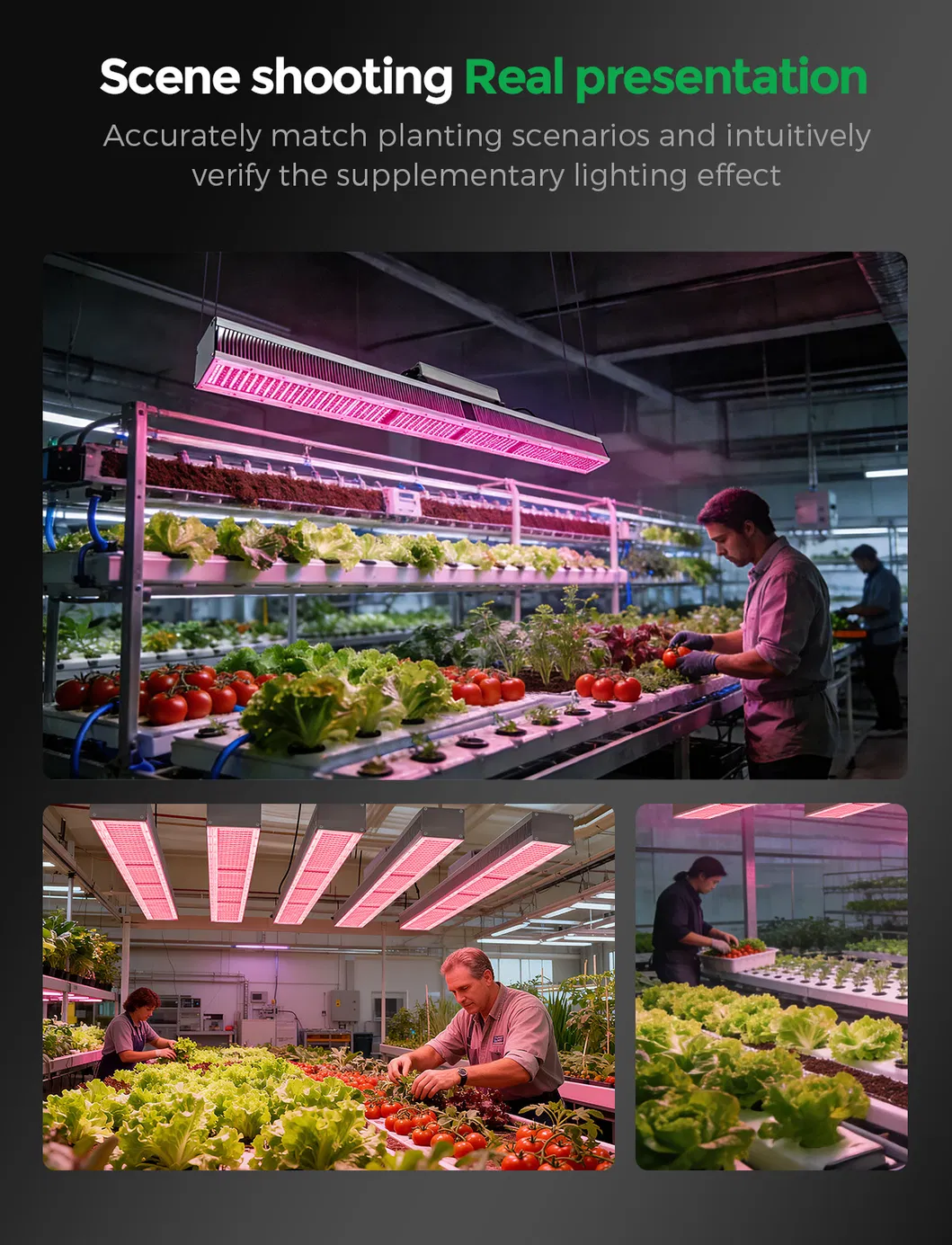 LED Grow Light 3