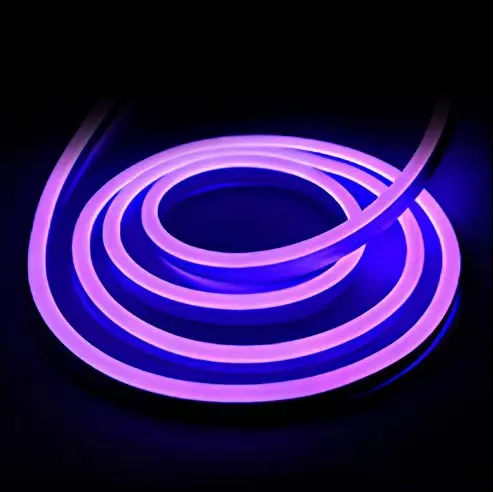 LED Neon Strip 10