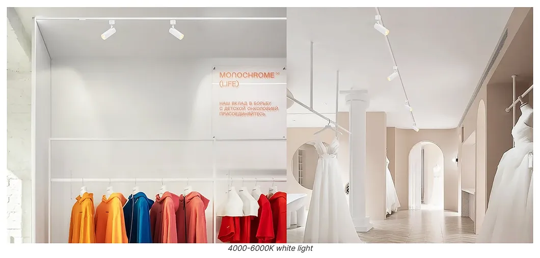 Track Light Features