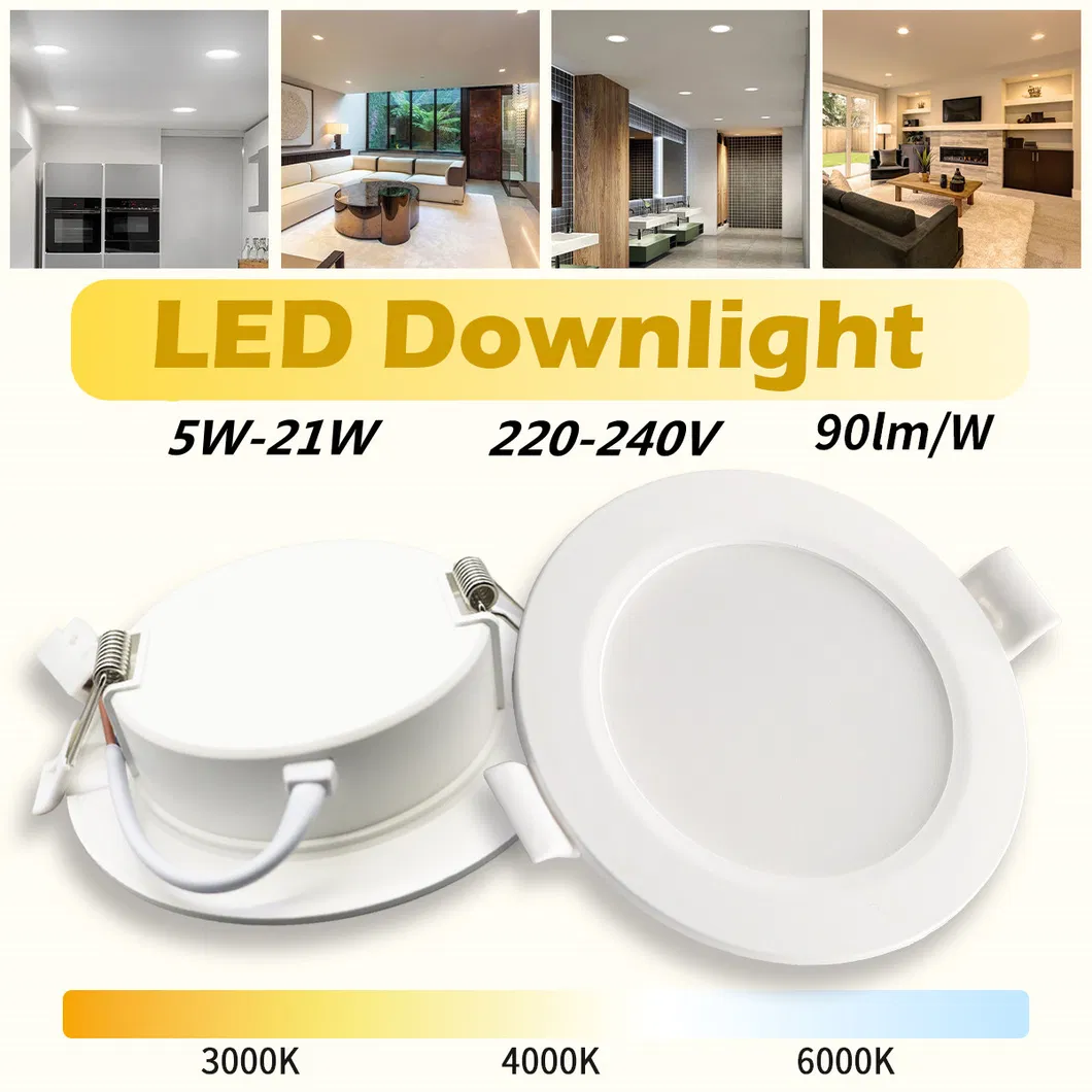 High Efficiency Downlight