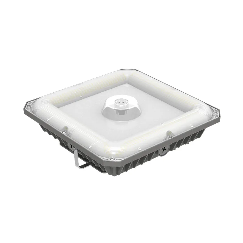 LED Canopy Light 1