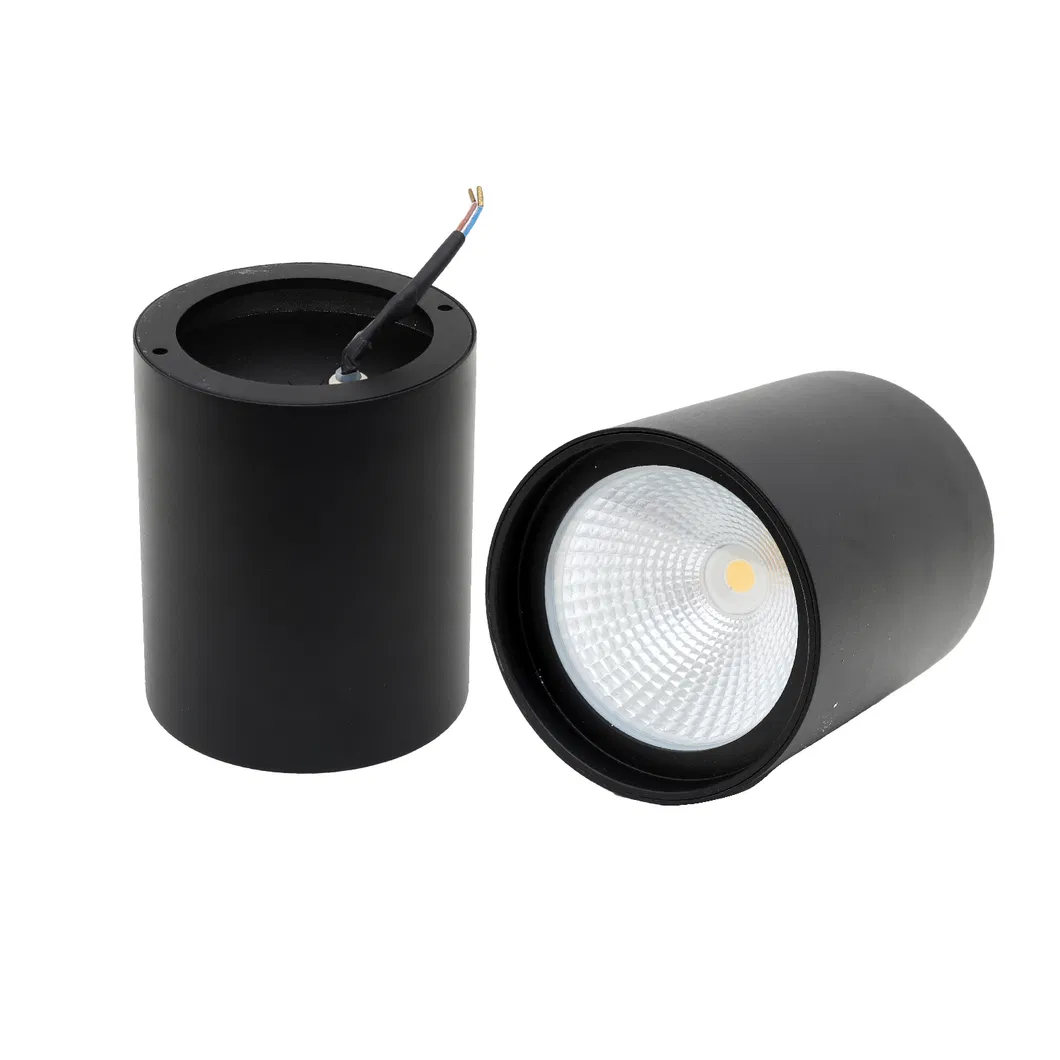 Modern Downlight Side View