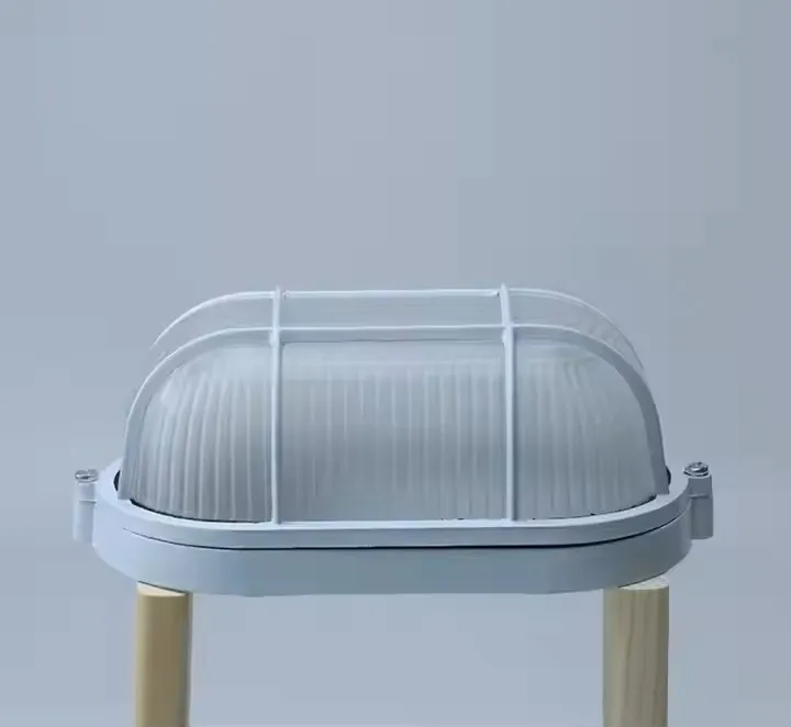 Outdoor Oval LED Light View 2