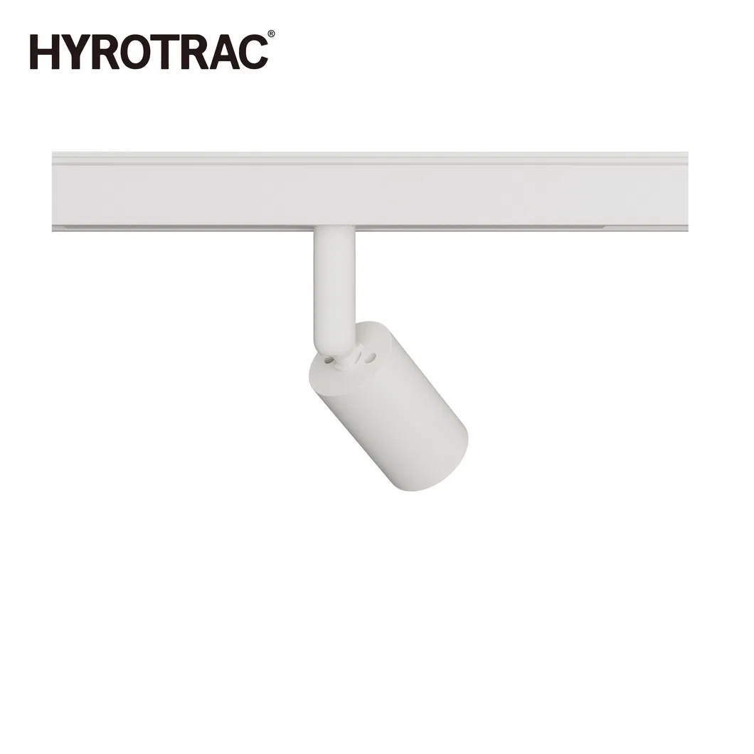 Track Light Detail 2