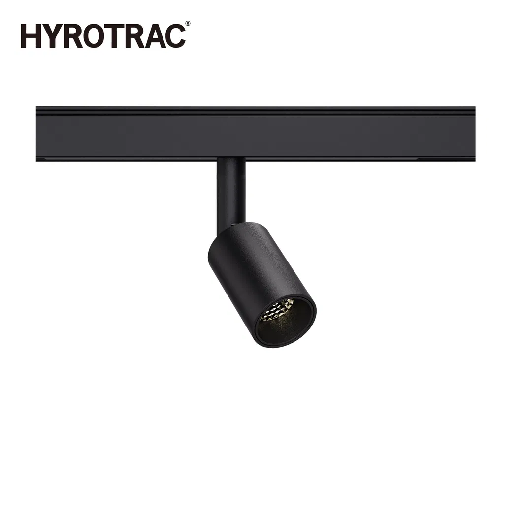 Track Light Detail 1