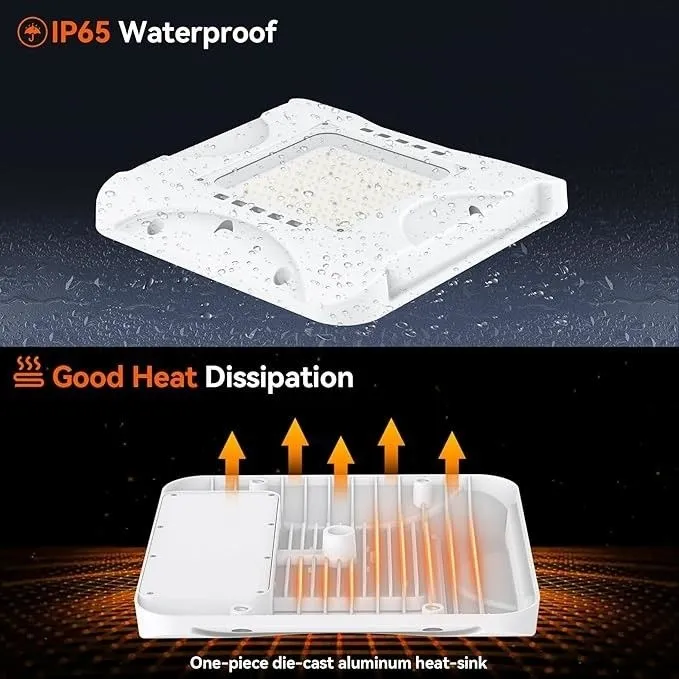 LED Canopy Light View 4