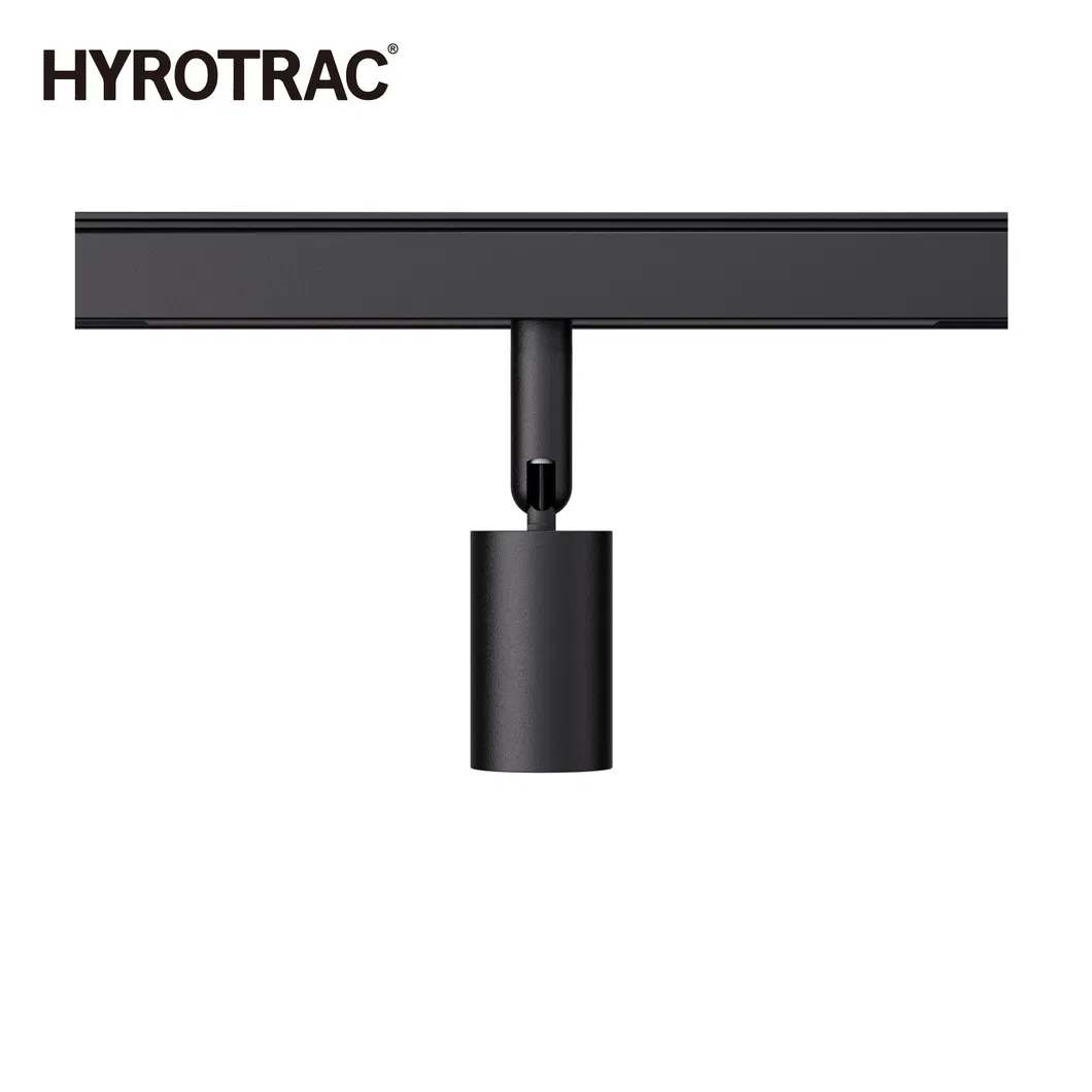 Track Light Detail 3