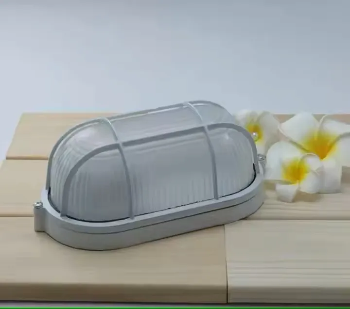 Outdoor Oval LED Light View 4