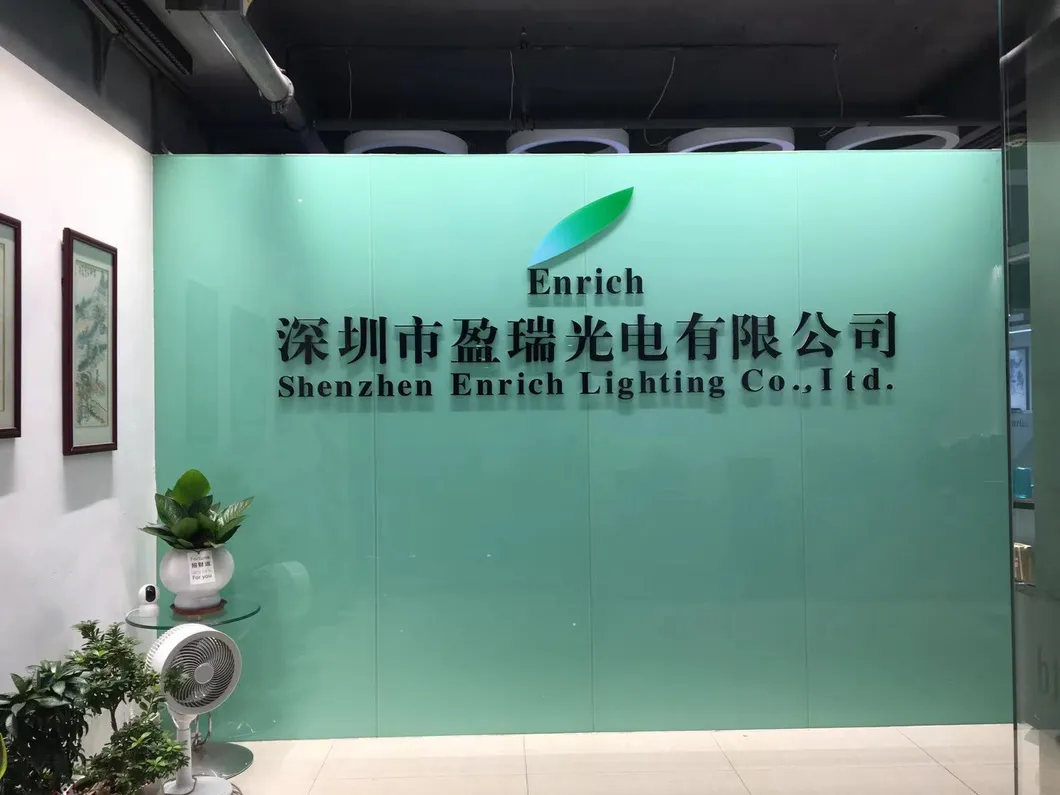 Lighting Fair Display