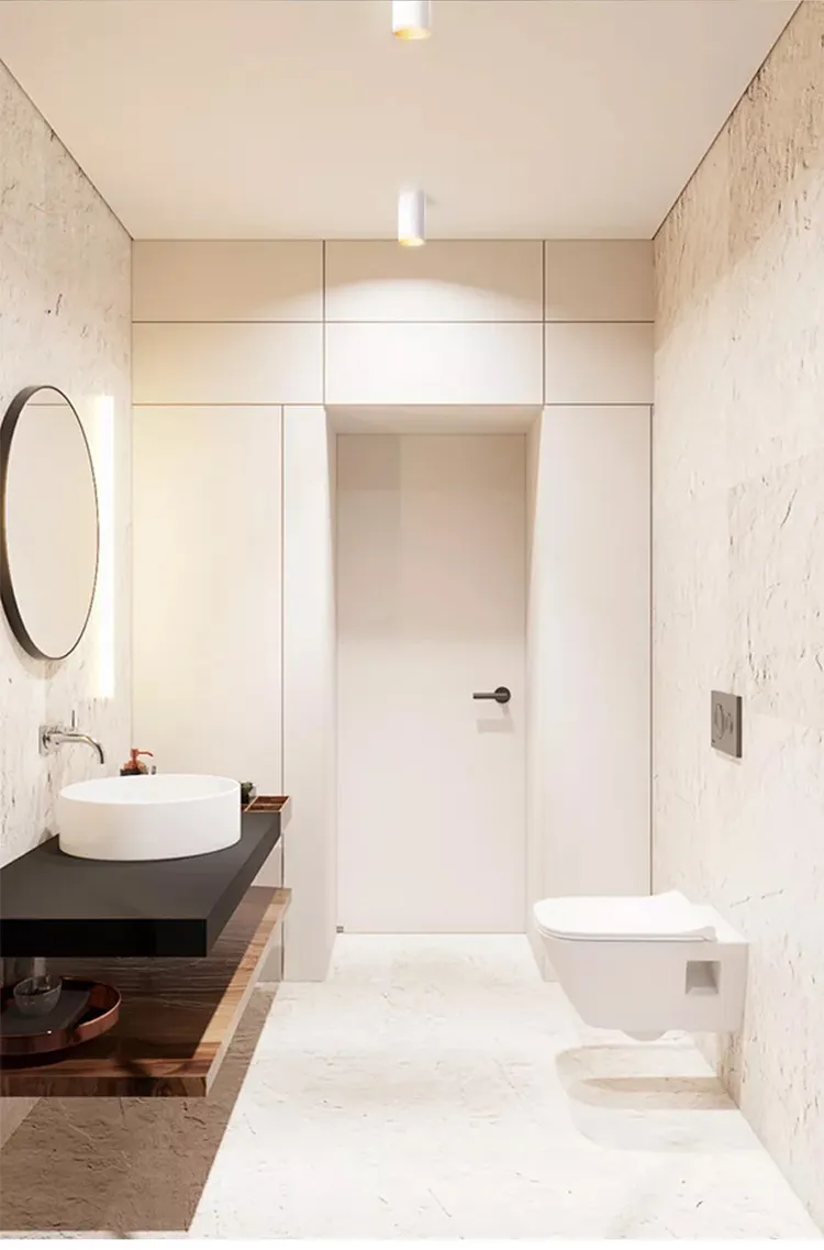 Modern LED Downlight