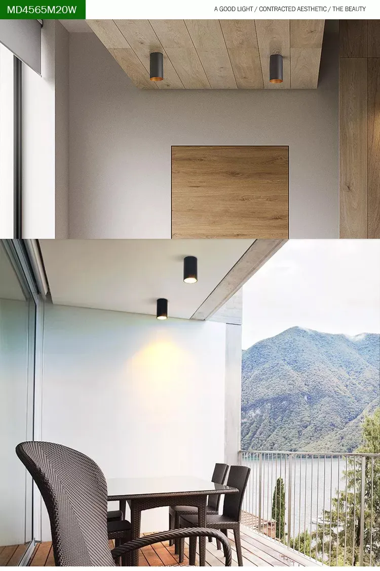 Cylindrical LED Light