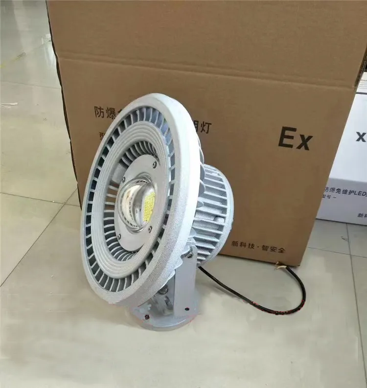 Explosion Proof Light Detail 6