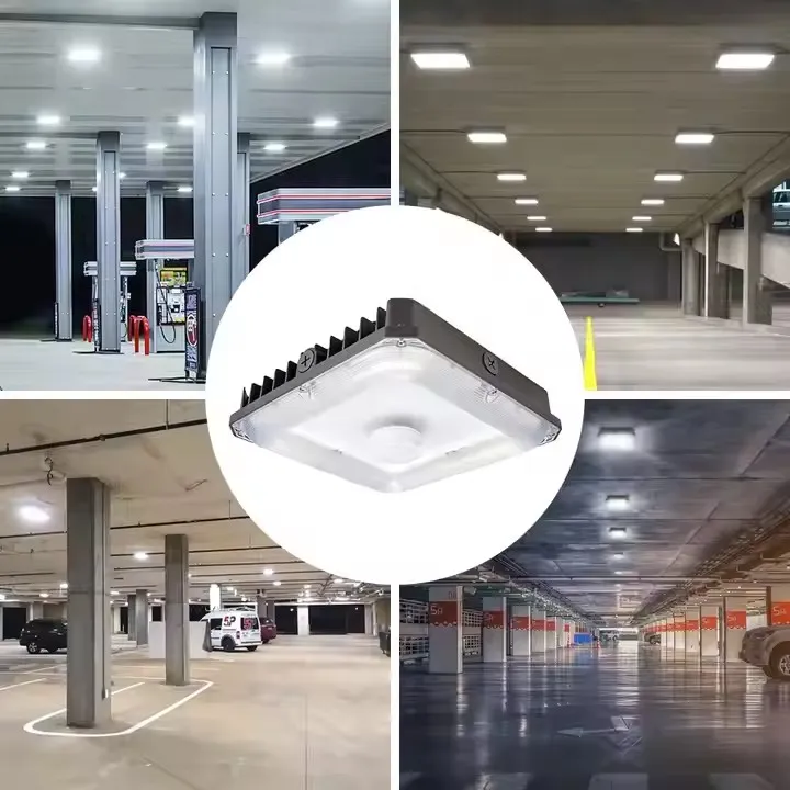 LED Canopy Light 5