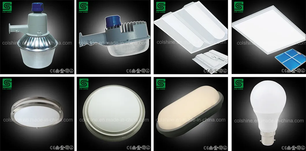 More Products Gallery