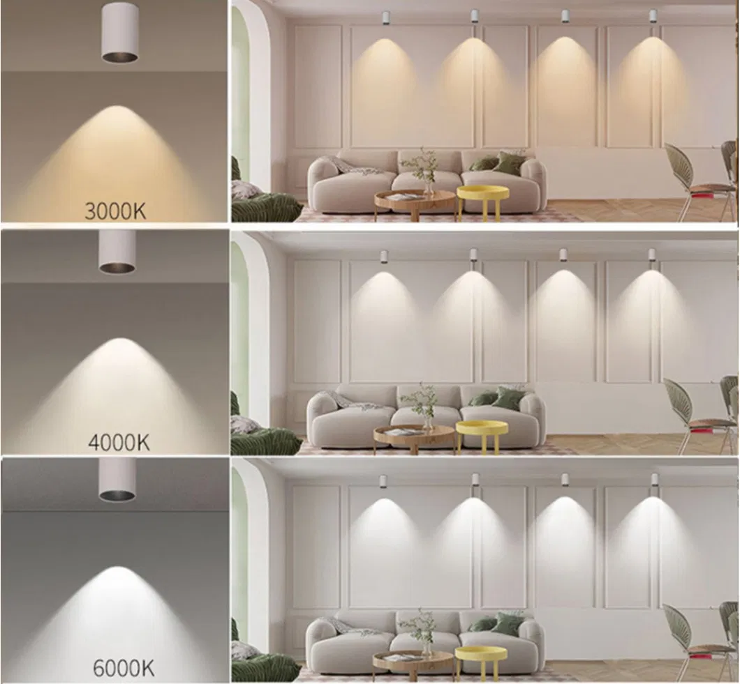 LED Downlight Detail