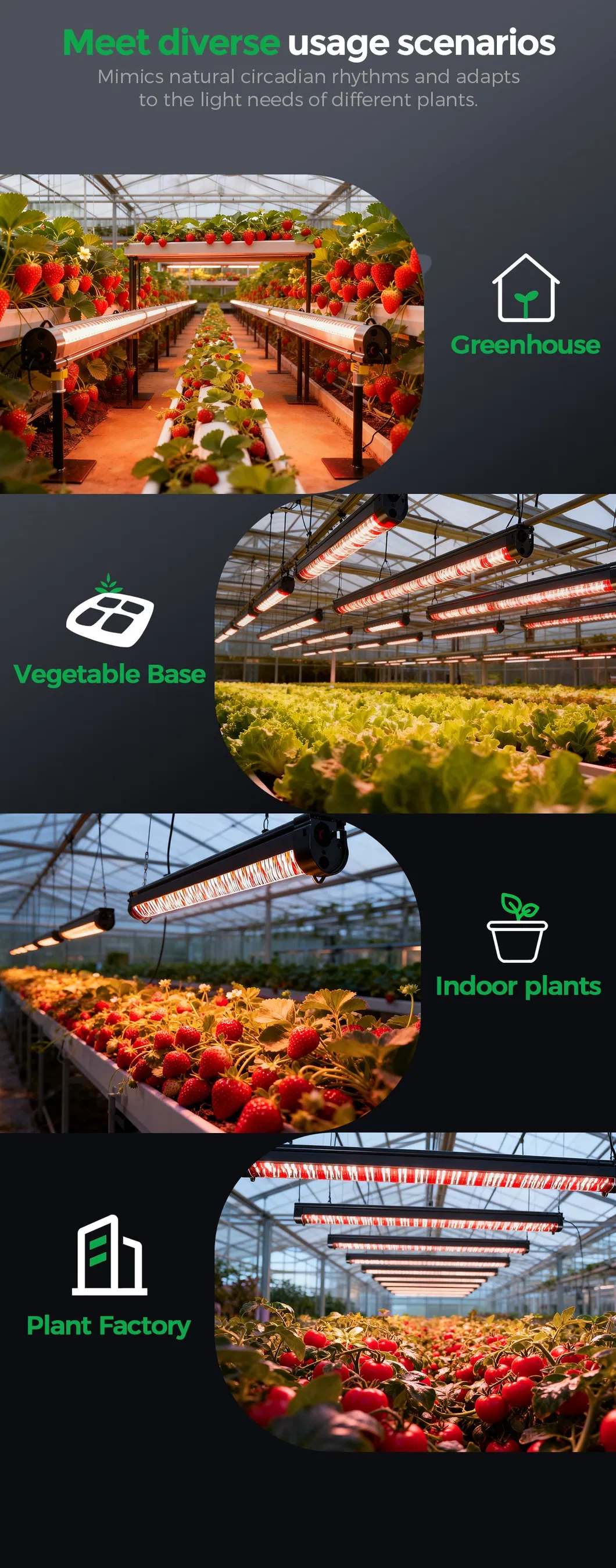 Samsung LED chips detail