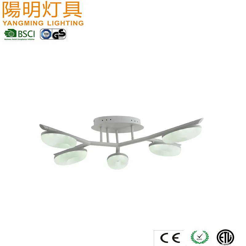 LED Ceiling Light View 2