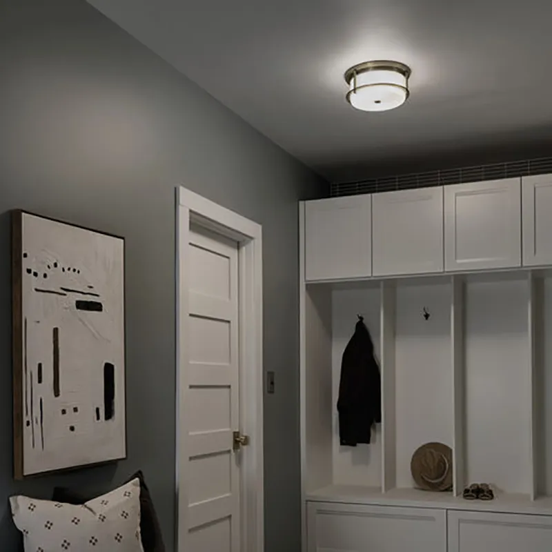 Flush Mount Ceiling Light 5