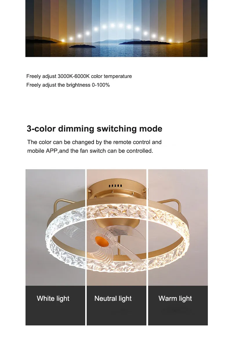 Ceiling Fan Display 3