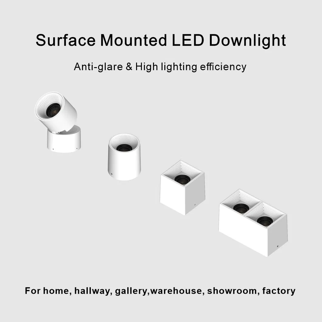 Surface Mounted LED Downlight