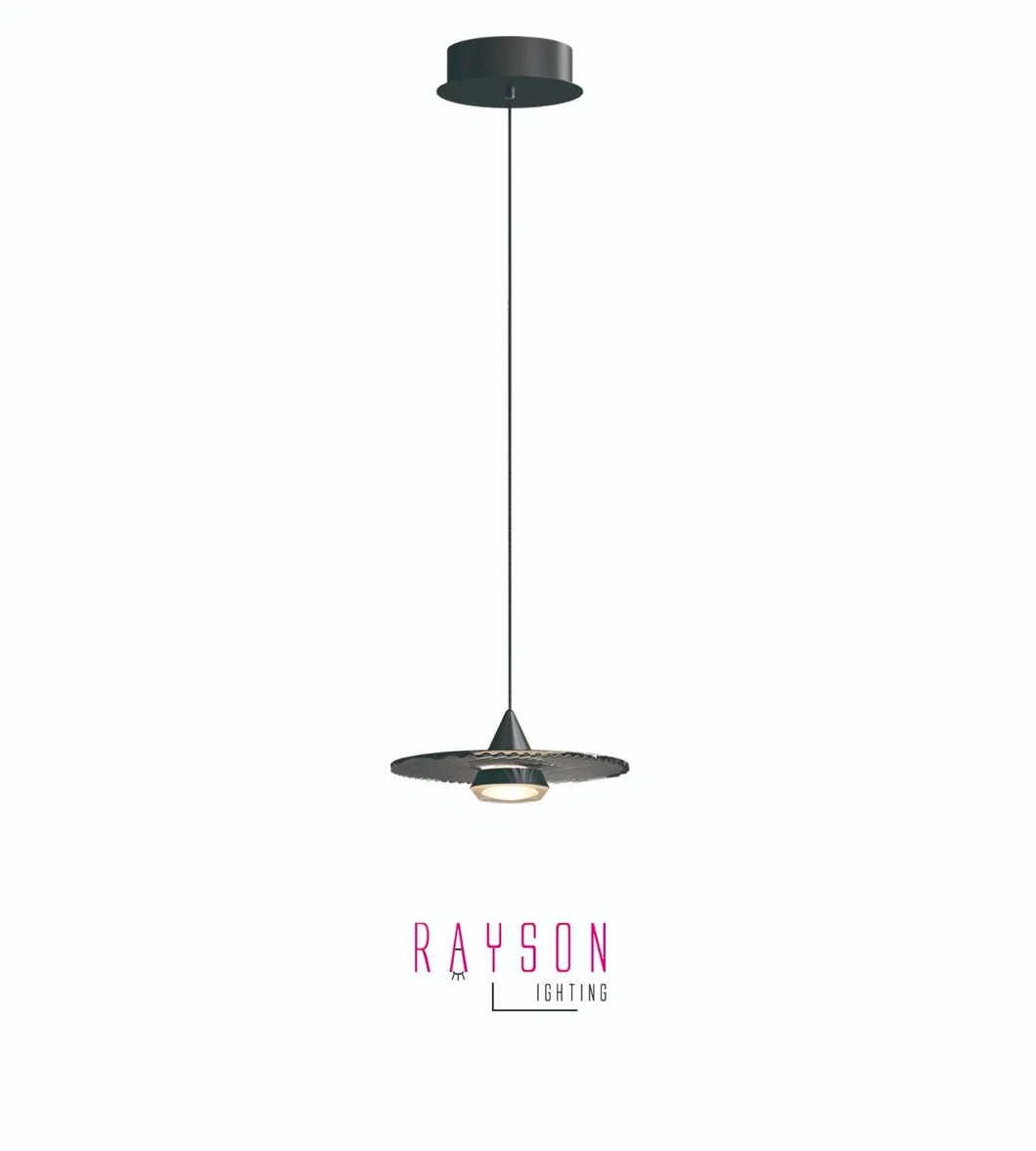 Pendant Light 6