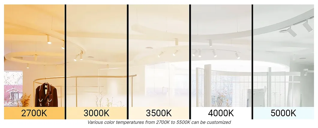 Track Light Color Temperature