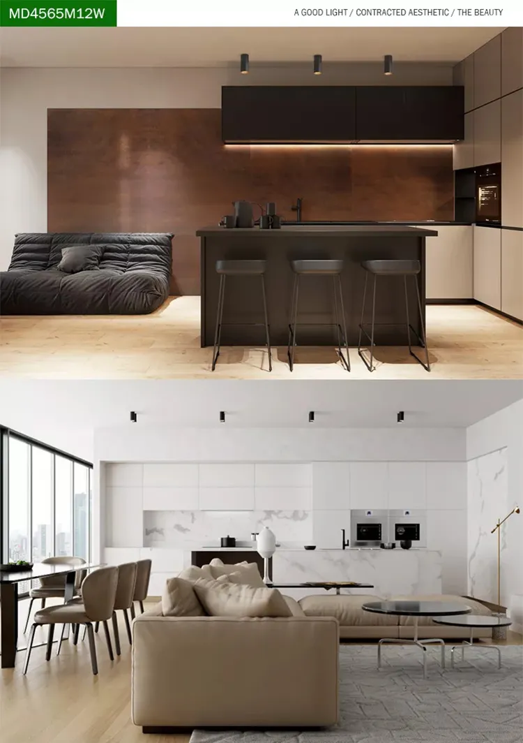 Surface Mounted Ceiling Light