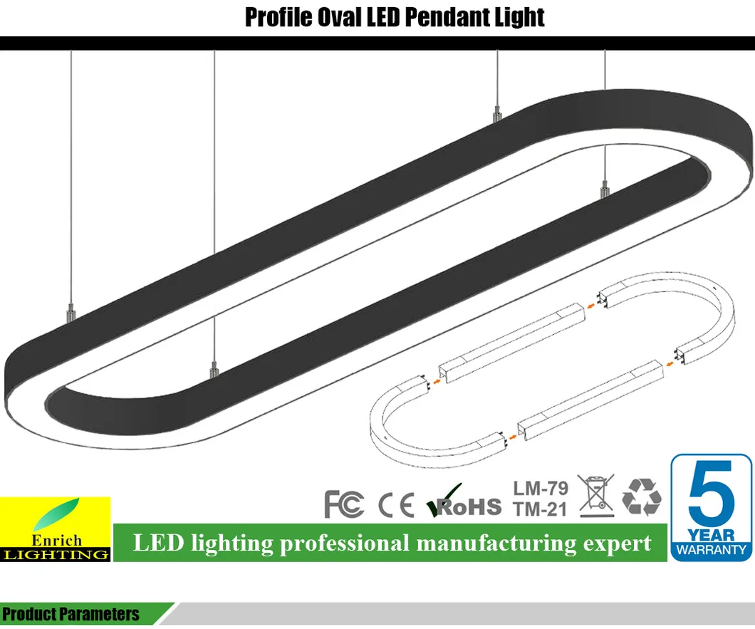 Modern Oval Ring LED Chandelier